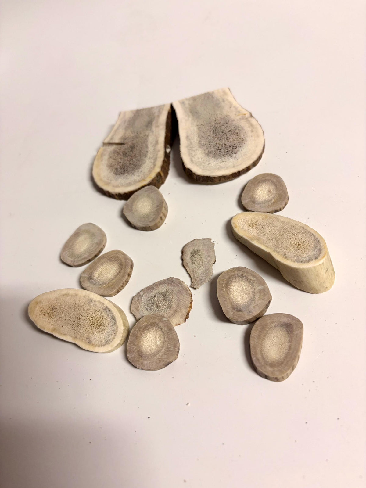 Package of Elk Antler Scraps/slices. For Crafting, Decor and More!