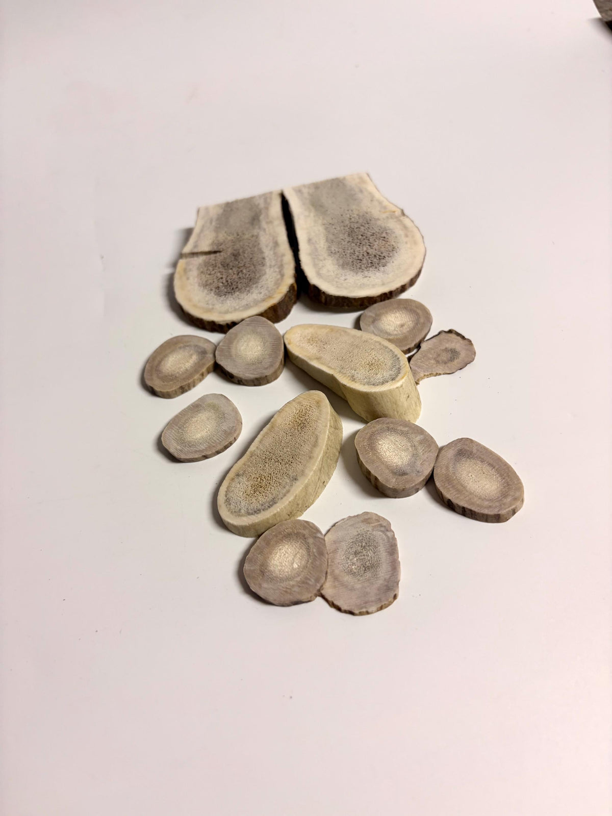 Package of Elk Antler Scraps/slices. For Crafting, Decor and More!