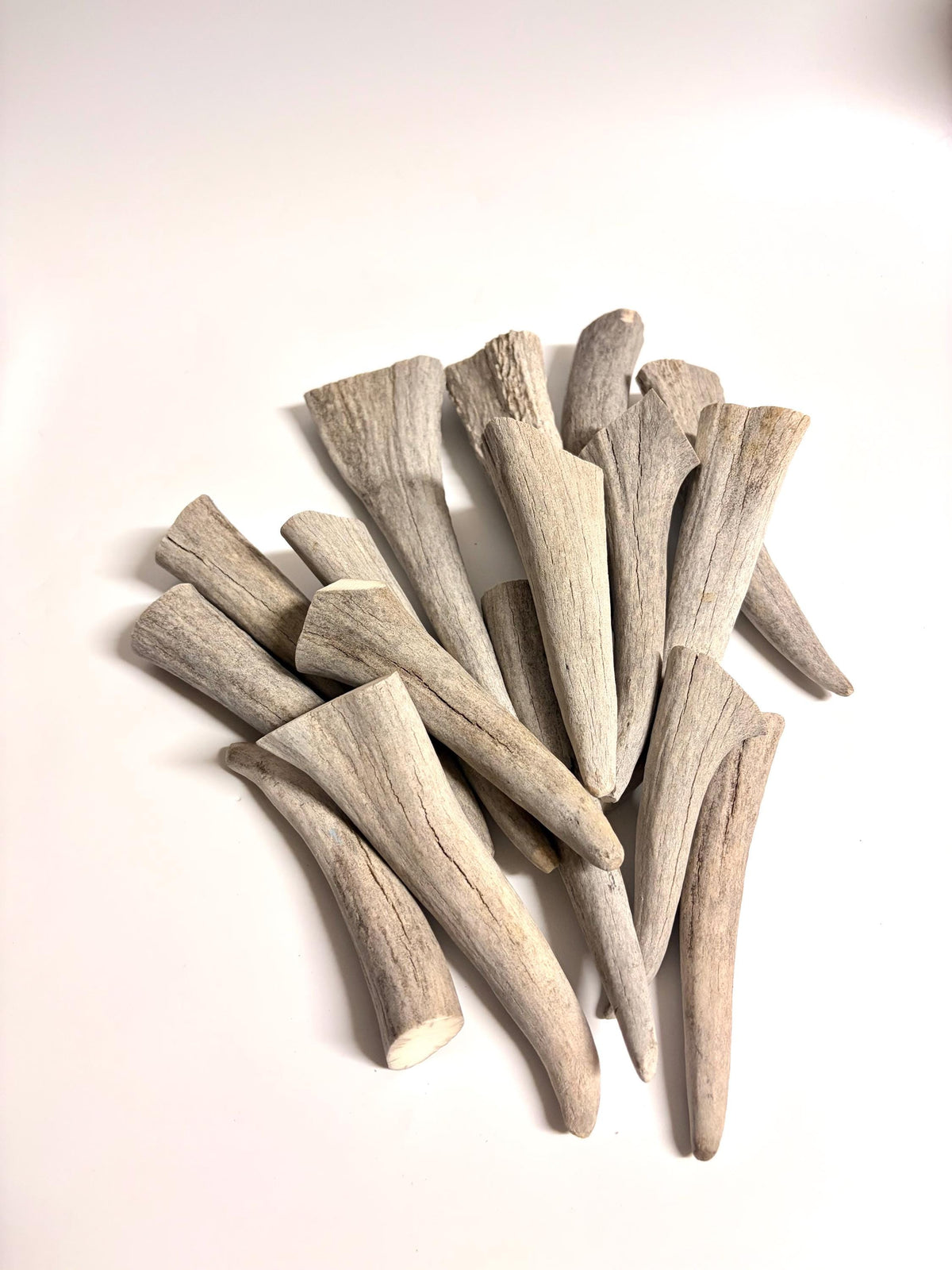 Moose Antler Tips - 2.7pbs (16pcs) Antler tips for Crafting decor and more. 4-7” variable length