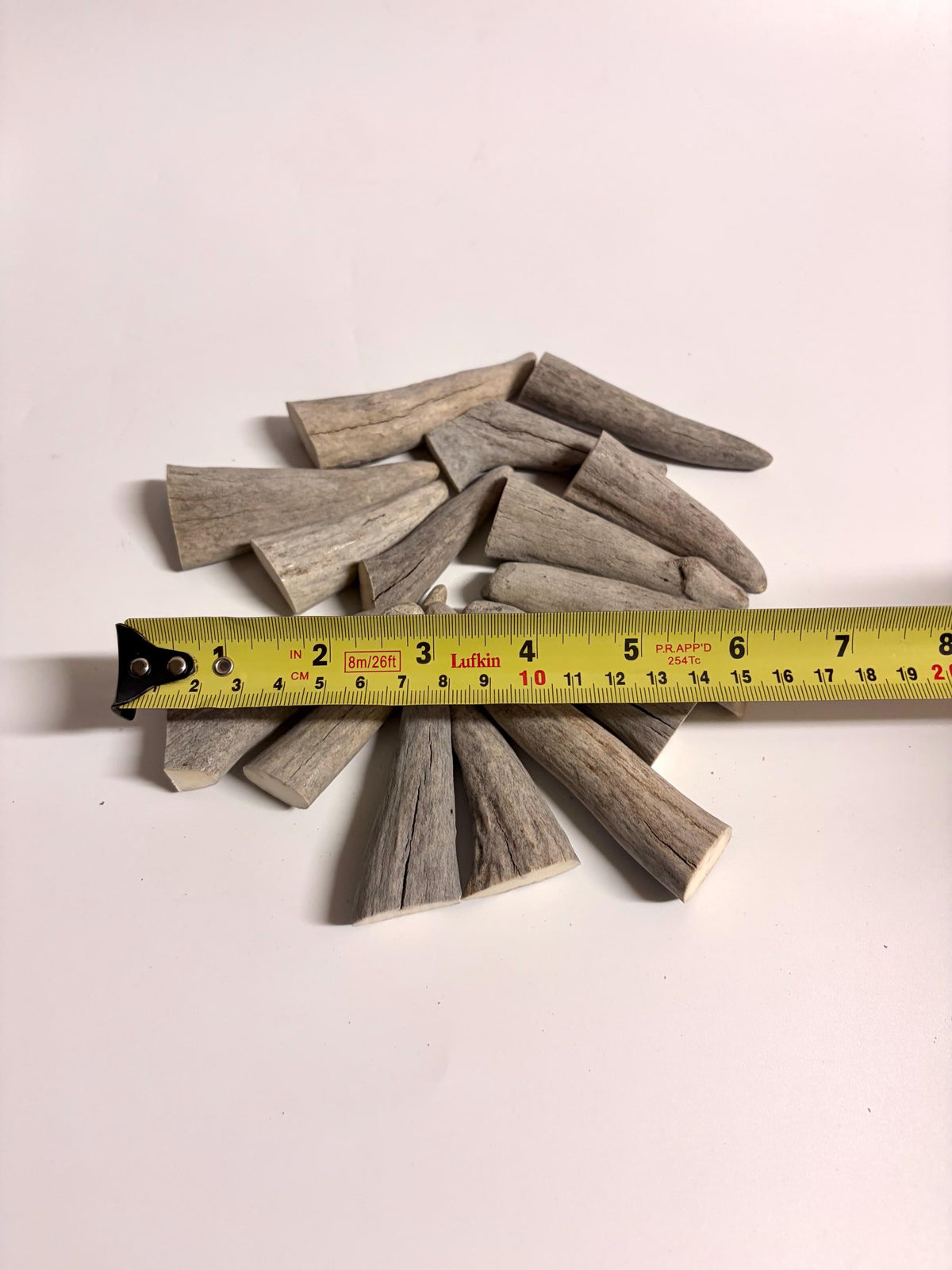 Antler Tips - Pack of 15 Tips / Tines for Crafting, Decor and More