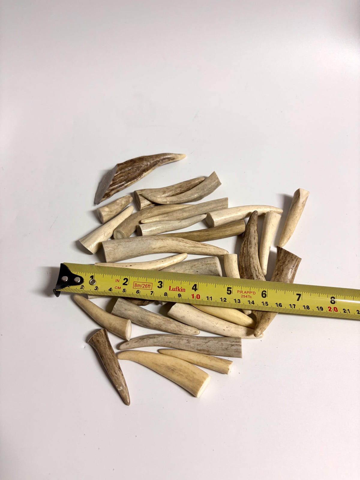 Small Antler Tips (20pcs) Very Good Condition Tips for Crafting Decor and More