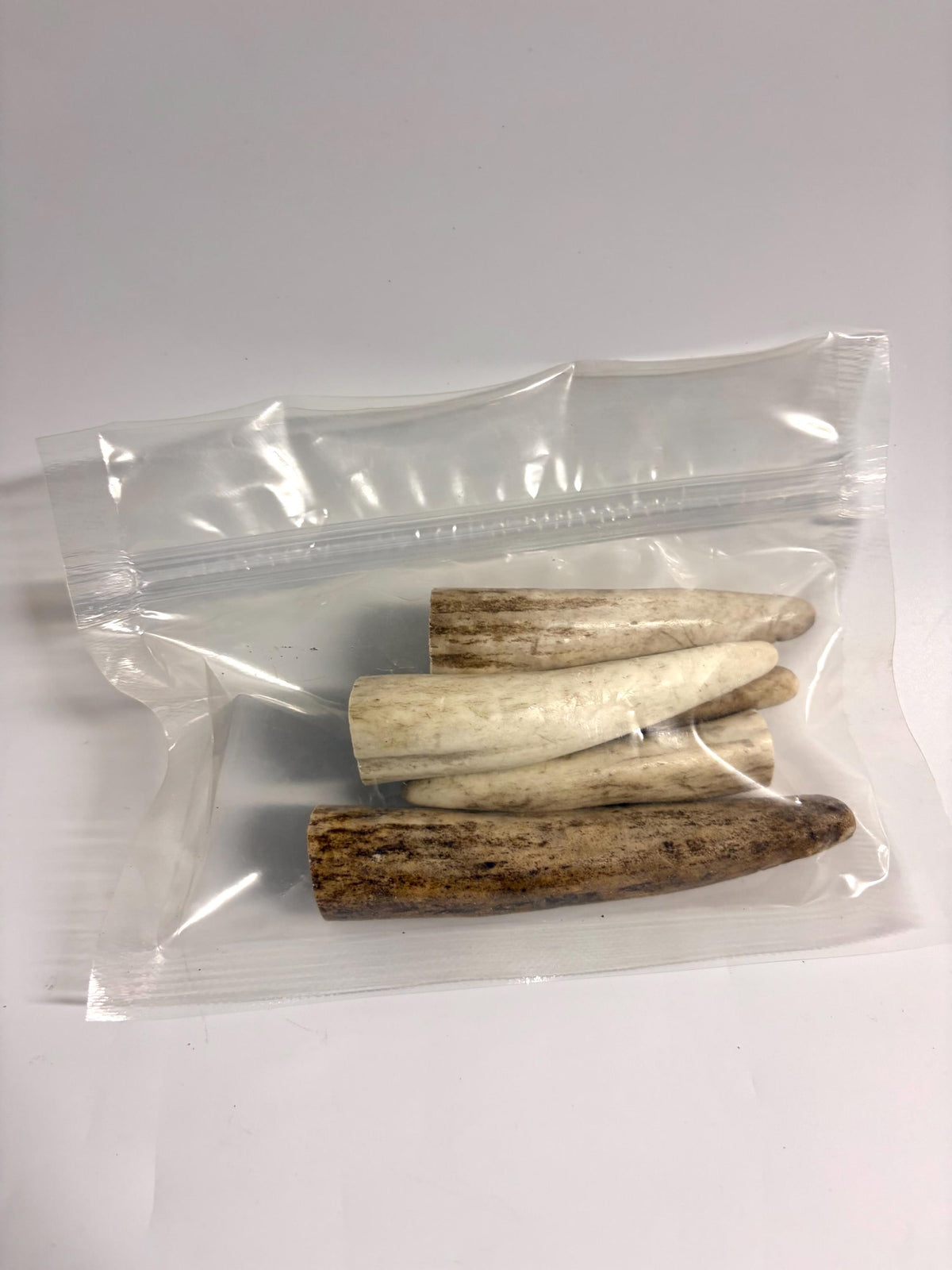 Deer and Elk Antler Tips - 5 Packs of 2.5”-4.5" Premium Fresh Tine Tips or "Dinosaur Teeth" for Crafting, Decor and More