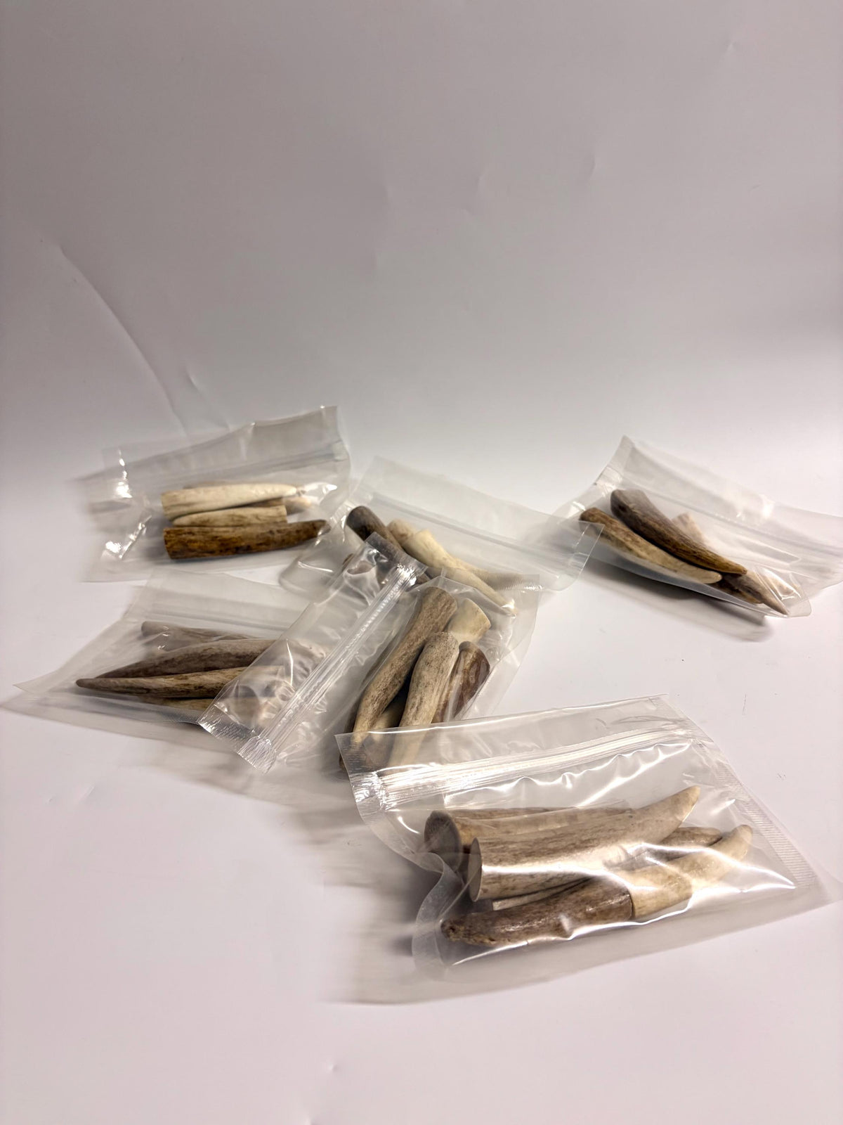 Deer and Elk Antler Tips - 5 Packs of 2.5”-4.5" Premium Fresh Tine Tips or "Dinosaur Teeth" for Crafting, Decor and More