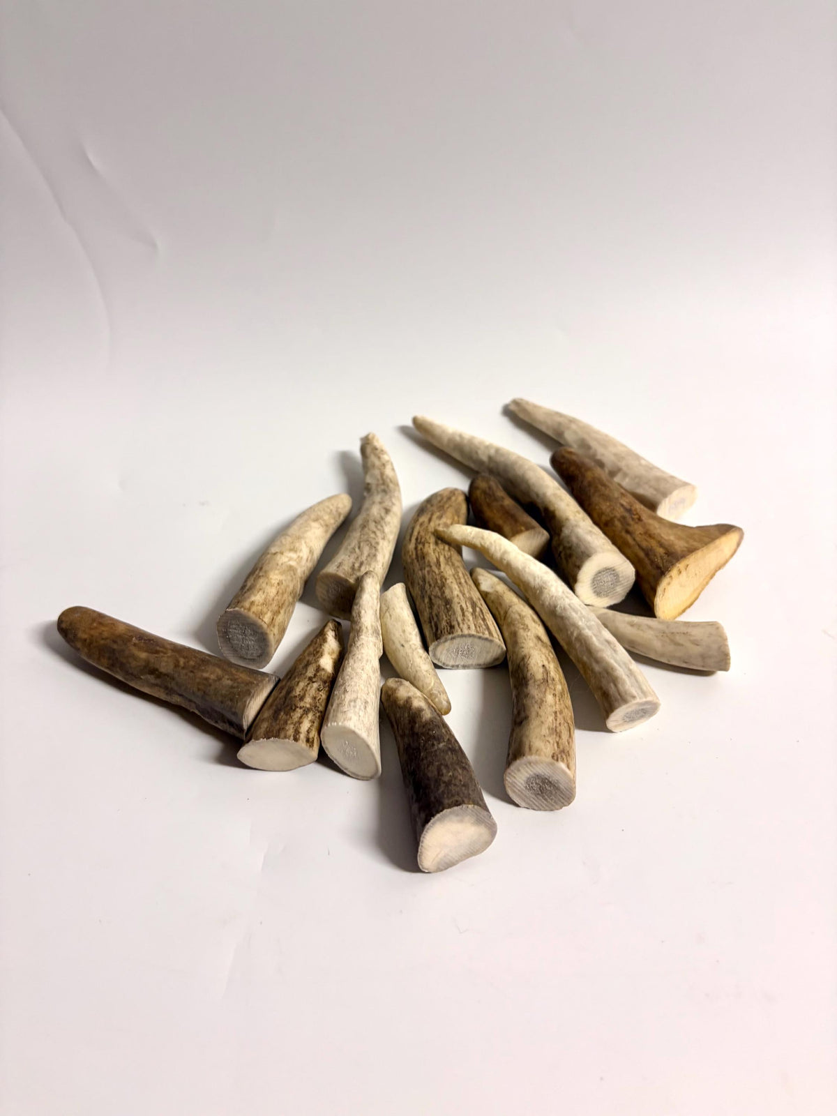 Small Antler Tips (15pcs) ~2”-4” Poorer Condition Tips for Crafting Decor and More
