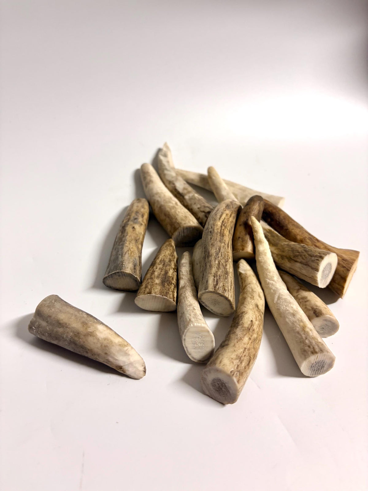 Small Antler Tips (15pcs) ~2”-4” Poorer Condition Tips for Crafting Decor and More