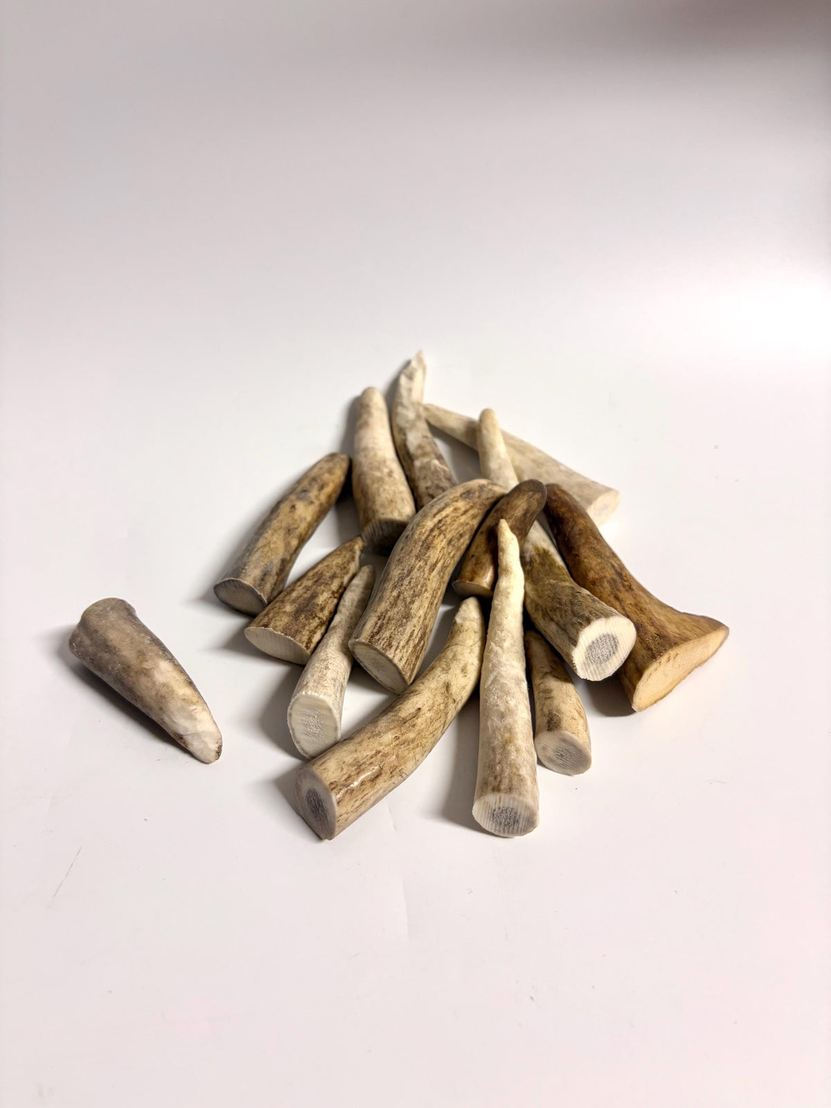 Small Antler Tips (15pcs) ~2”-4” Poorer Condition Tips for Crafting Decor and More