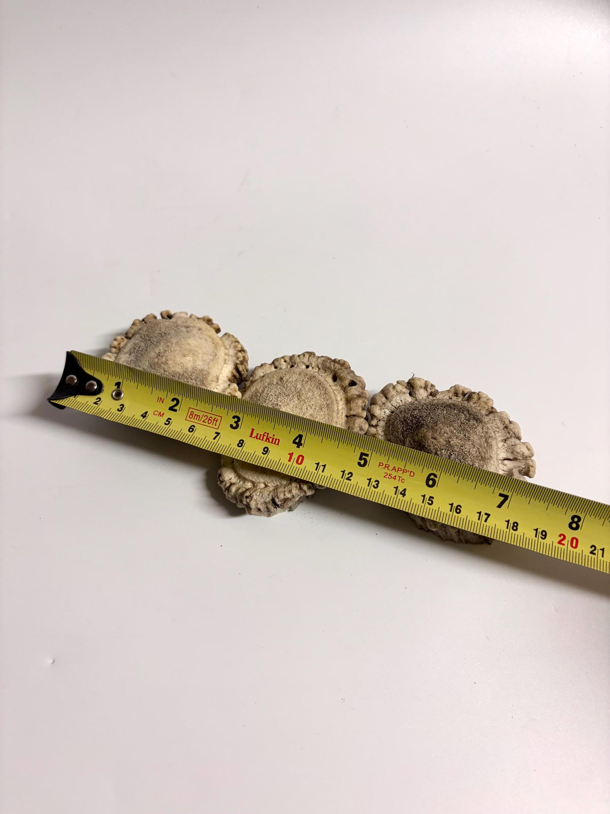 3-Pack Small Elk Antler Bases or “Rosettes” For Crafting, Decor and More