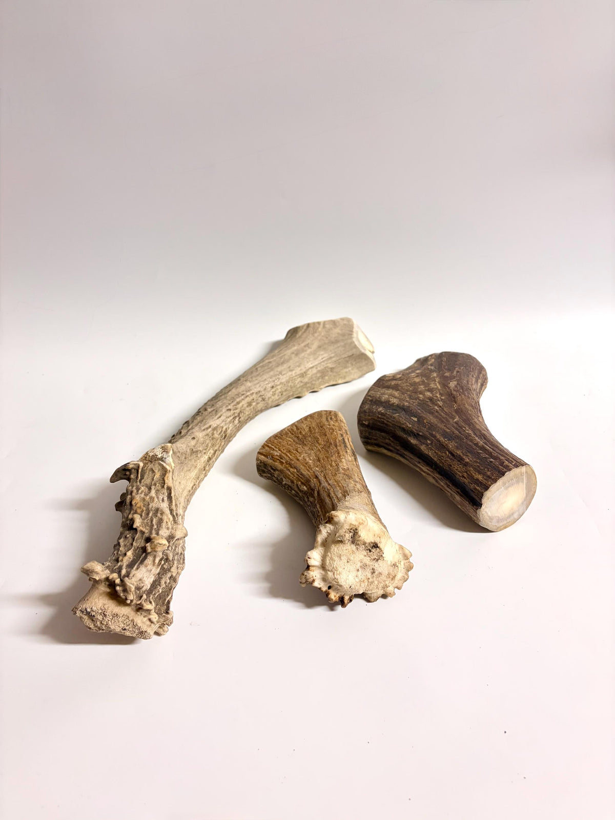 Super Chewer Antler Dog Chews Pack (3-pcs) of heavy antler bases.