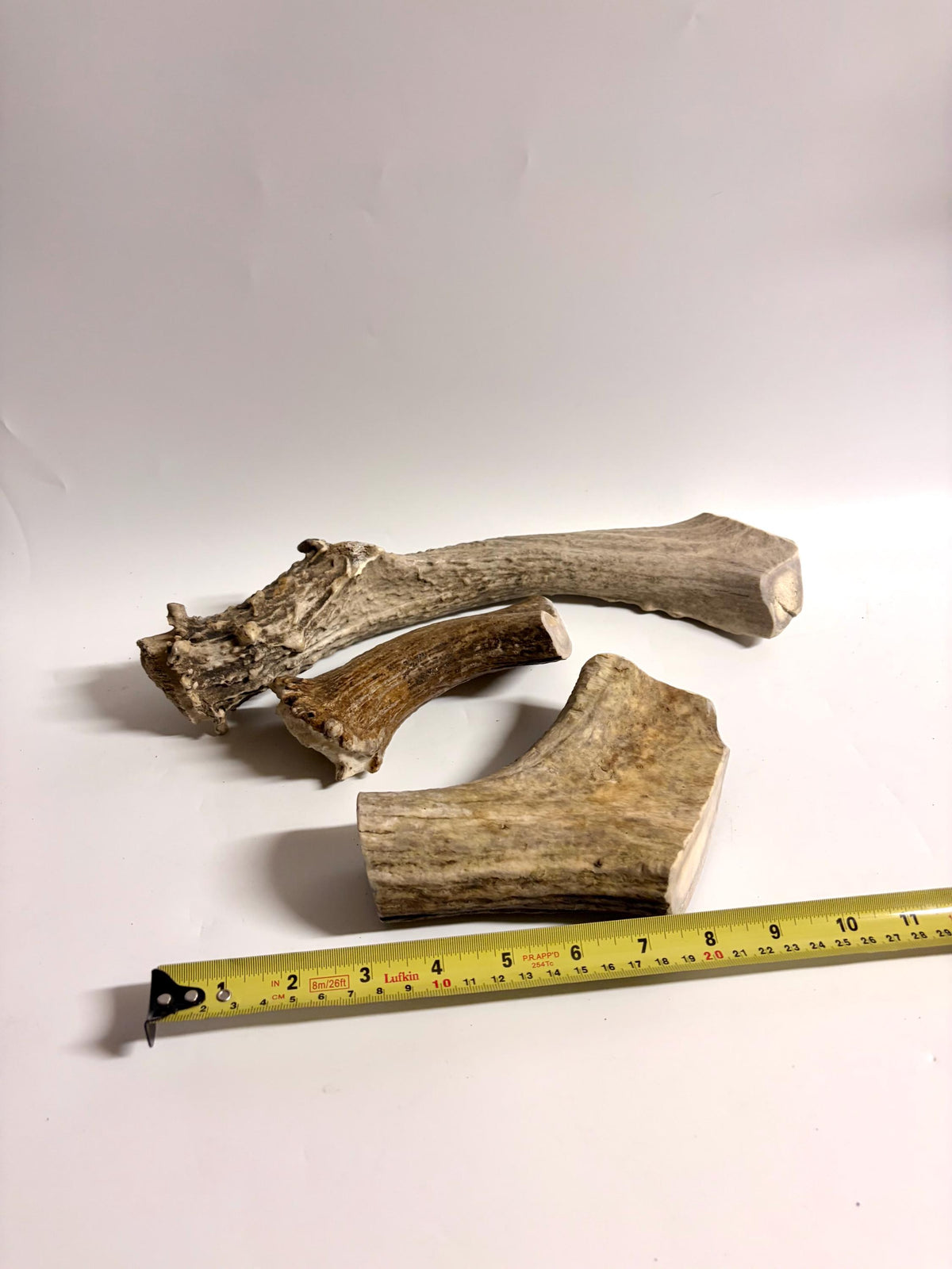 Super Chewer Antler Dog Chews Pack (3-pcs) of heavy antler bases.