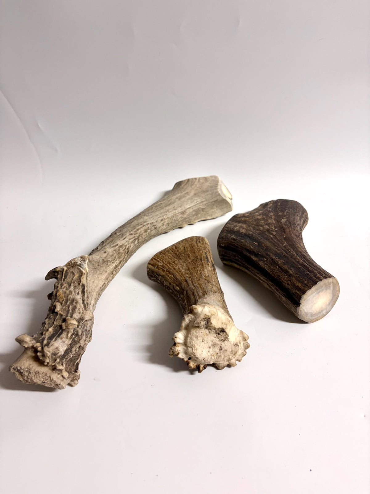 Super Chewer Antler Dog Chews Pack (3-pcs) of heavy antler bases.