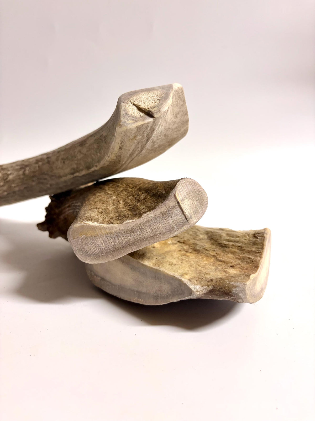 Super Chewer Antler Dog Chews Pack (3-pcs) of heavy antler bases.
