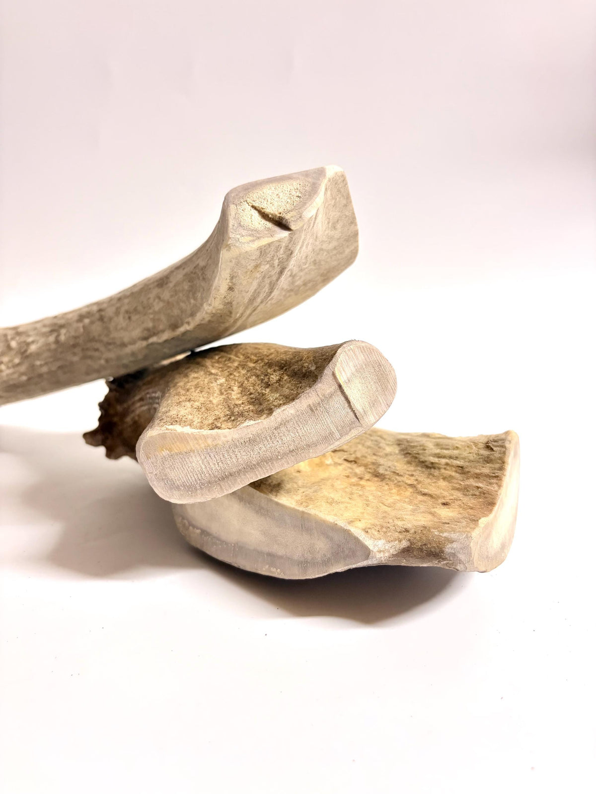 Super Chewer Antler Dog Chews Pack (3-pcs) of heavy antler bases.