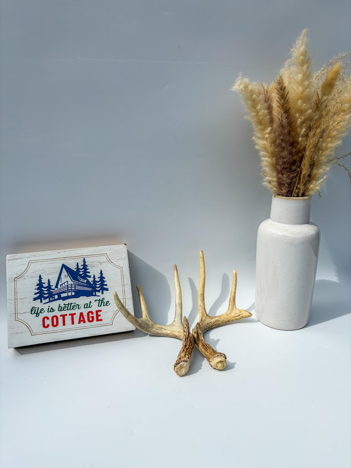 White-Tailed Deer Antler Set. Matching Brown Set. Decor, design, crafting and more!