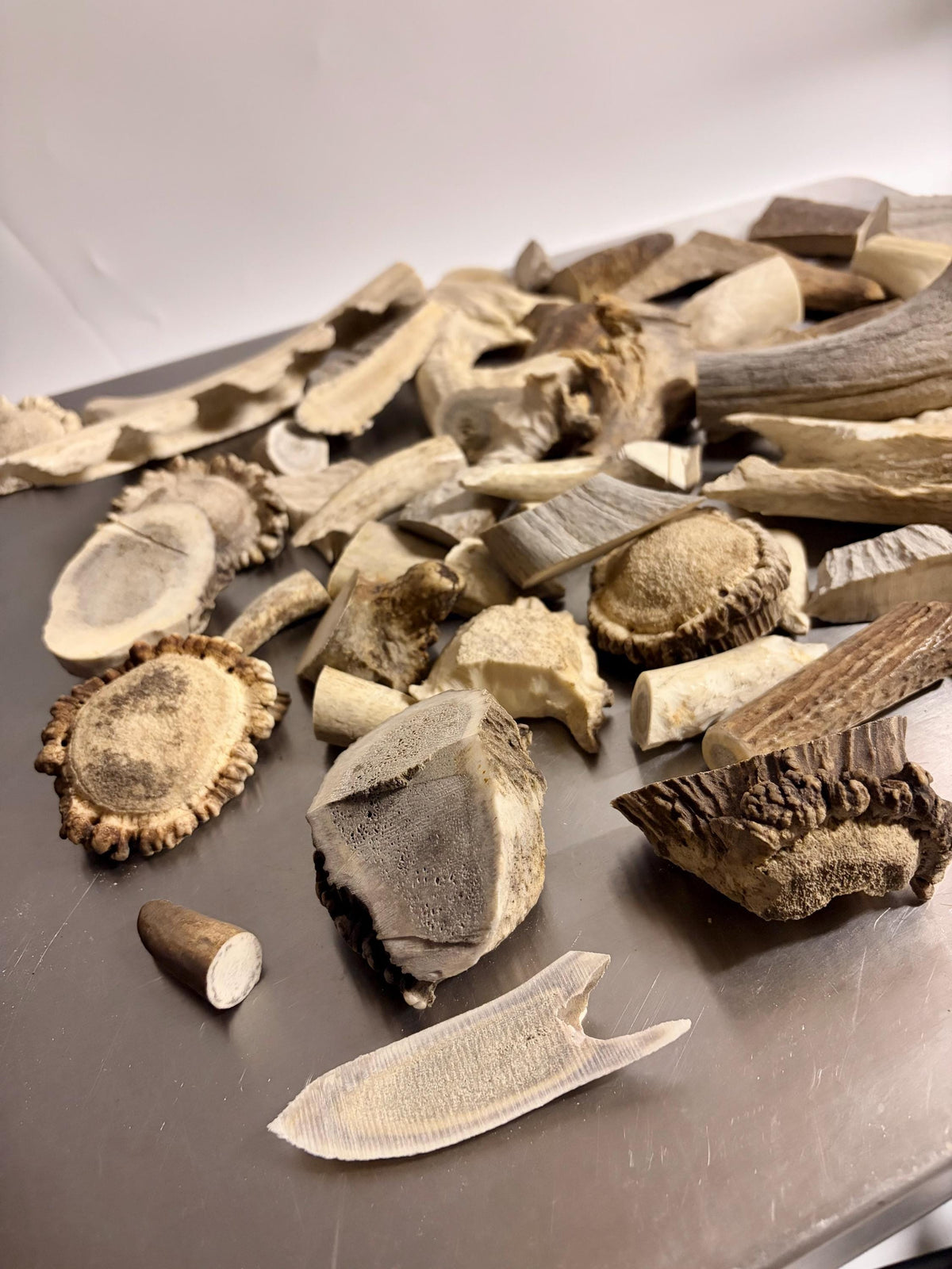 Deer, Moose and Elk Antler Chunks and Trimmings, small chunks and Trimmings and Tips. Useable for Crafting, Decor and More!