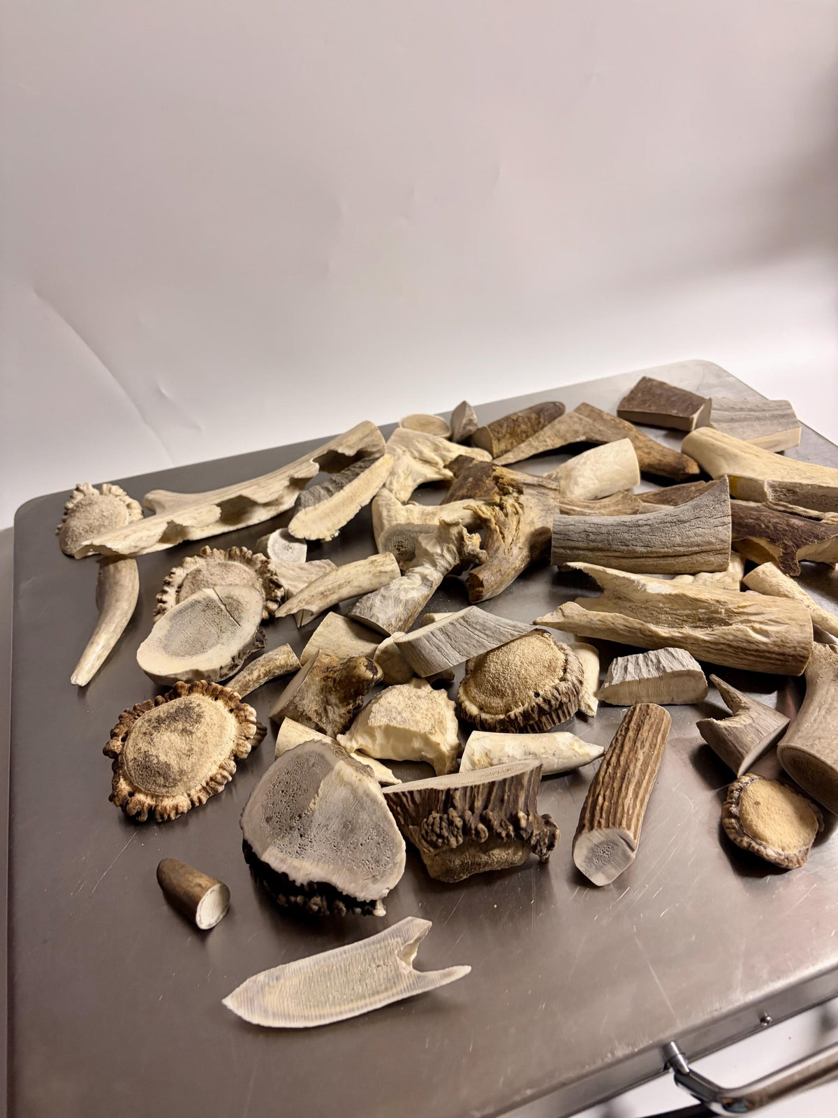 Deer, Moose and Elk Antler Chunks and Trimmings, small chunks and Trimmings and Tips. Useable for Crafting, Decor and More!