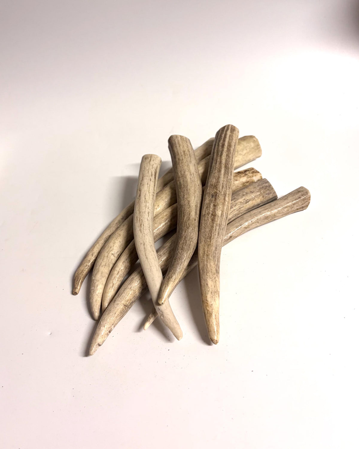 Antler Tips - 1.2lbs (8pcs) Premium Antler tips for Crafting decor and more.