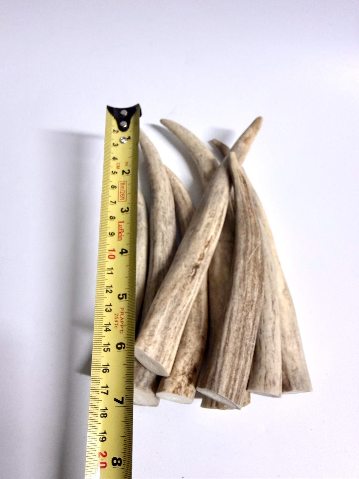 Antler Tips - 1.2lbs (8pcs) Premium Antler tips for Crafting decor and more.
