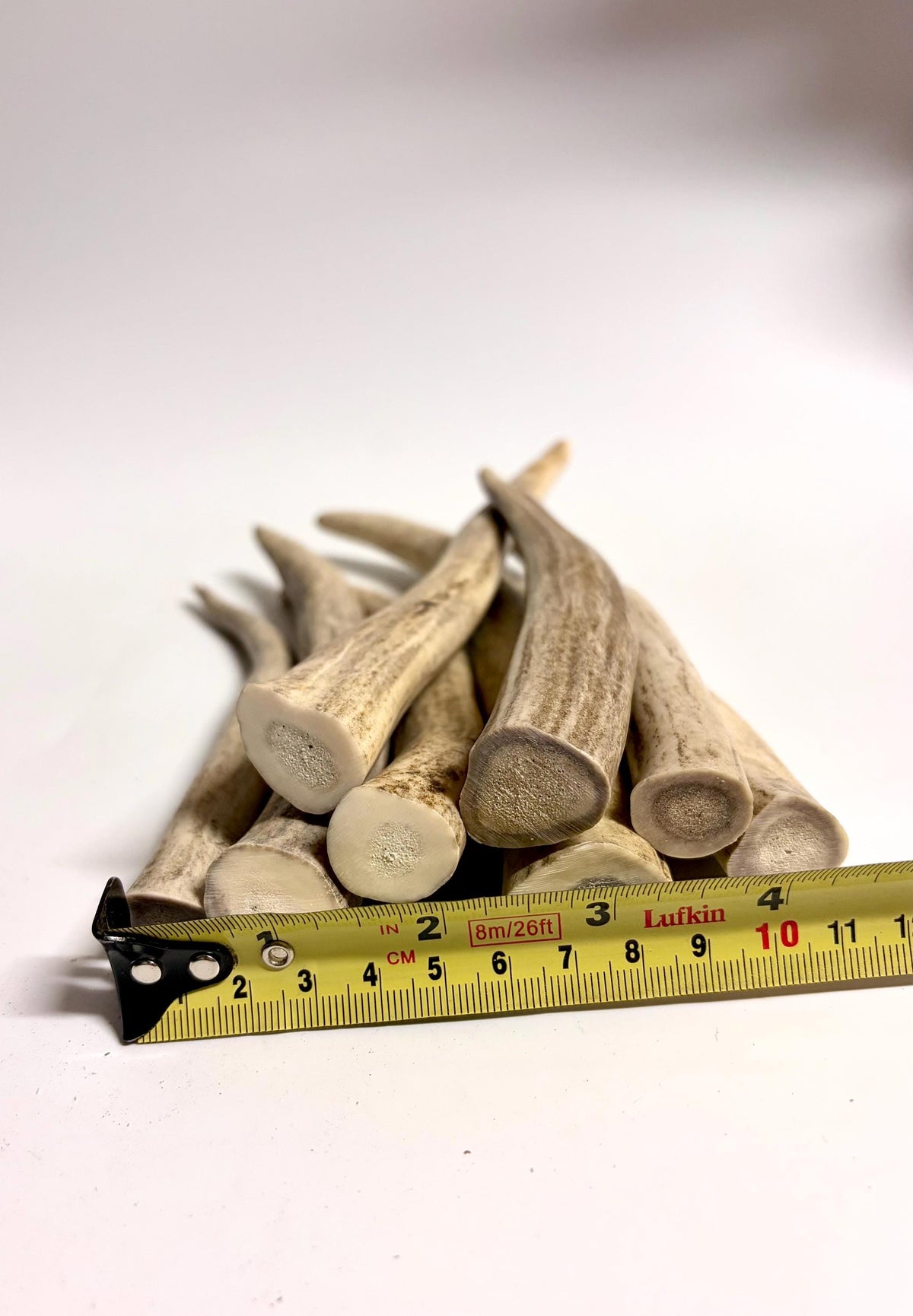 Antler Tips - 1.2lbs (8pcs) Premium Antler tips for Crafting decor and more.