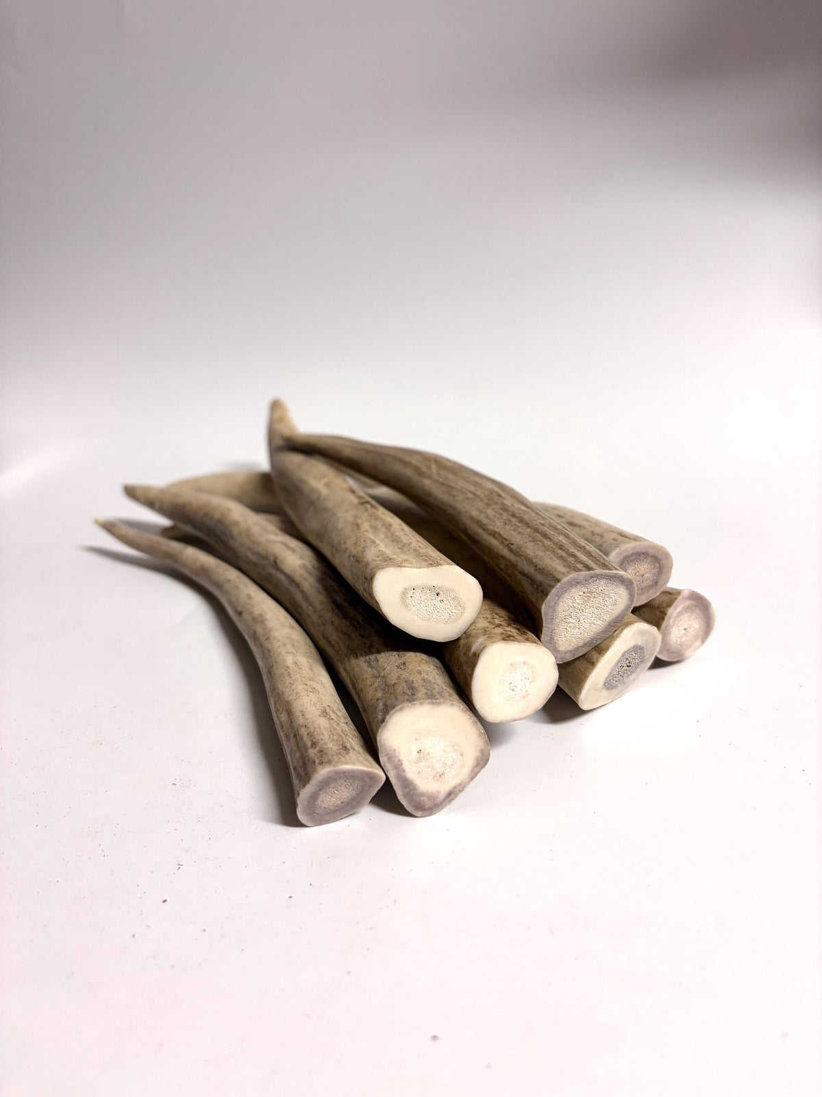 Antler Tips - 1.2lbs (8pcs) Premium Antler tips for Crafting decor and more.