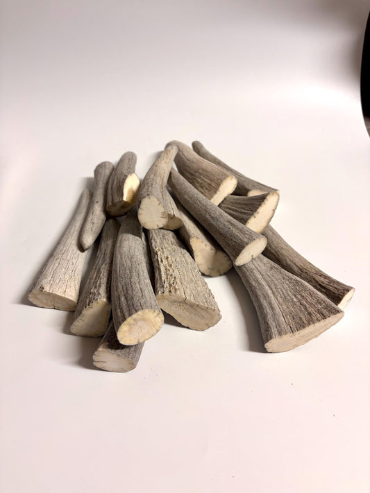 Moose Antler Tips - 2.7pbs (16pcs) Antler tips for Crafting decor and more. 4-7” variable length