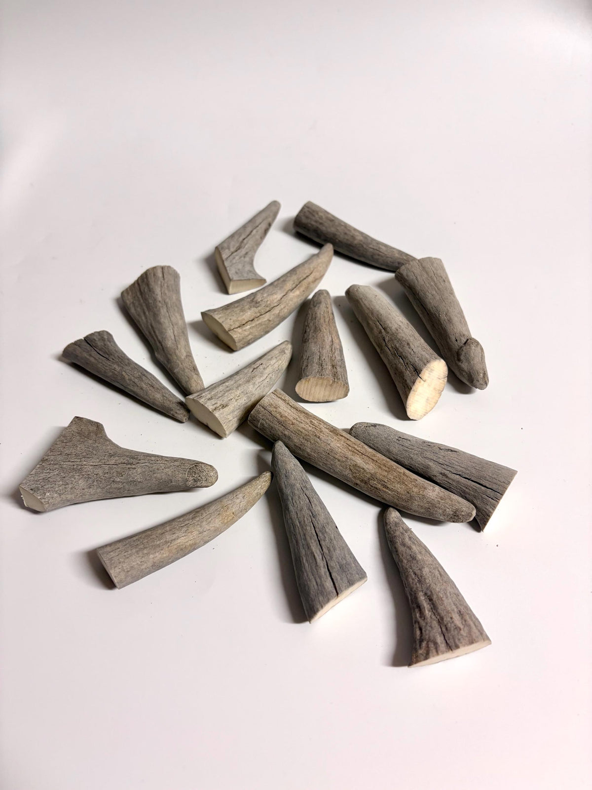 Antler Tips - Pack of 15 Tips / Tines for Crafting, Decor and More