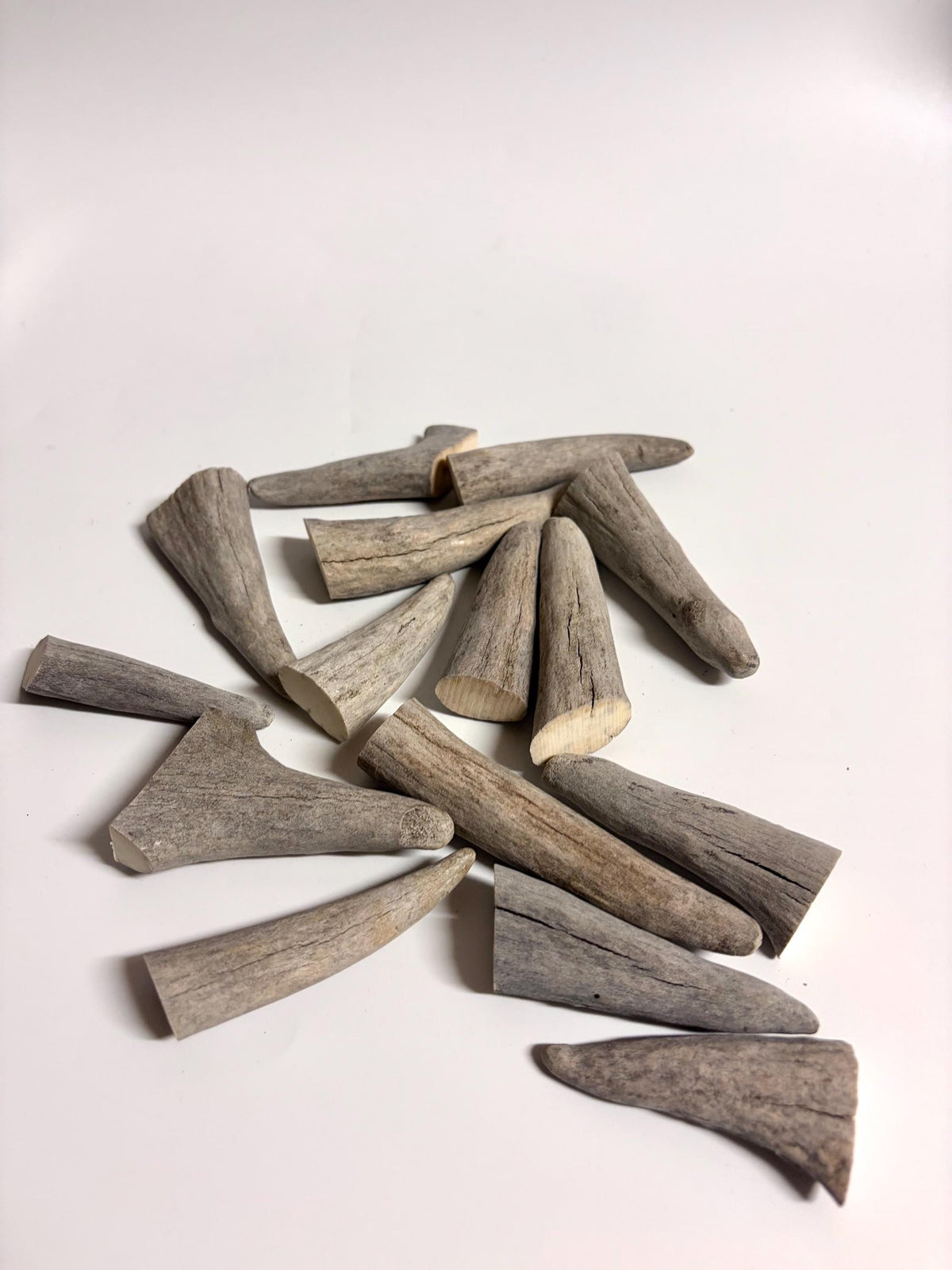 Antler Tips - Pack of 15 Tips / Tines for Crafting, Decor and More