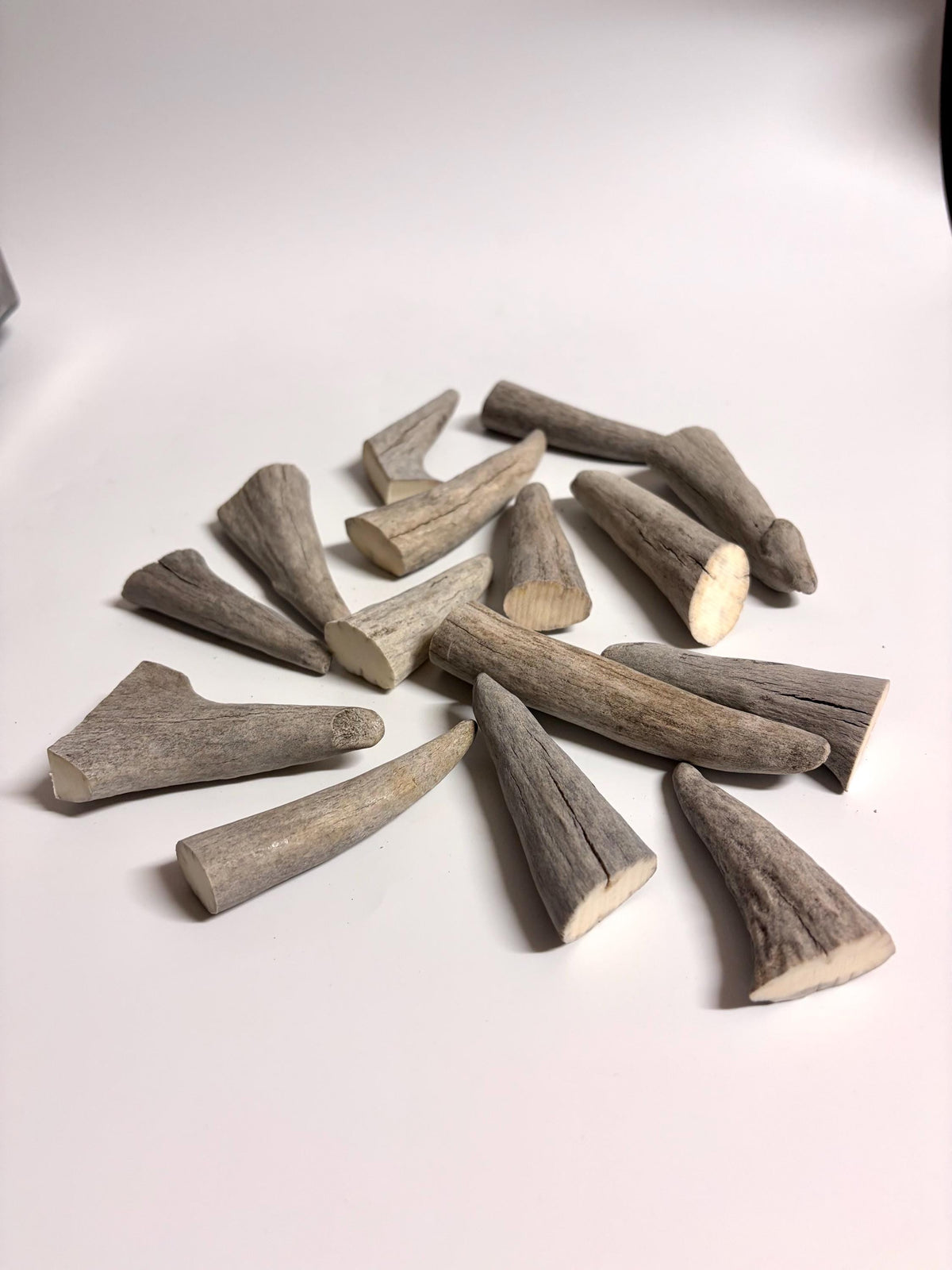 Antler Tips - Pack of 15 Tips / Tines for Crafting, Decor and More