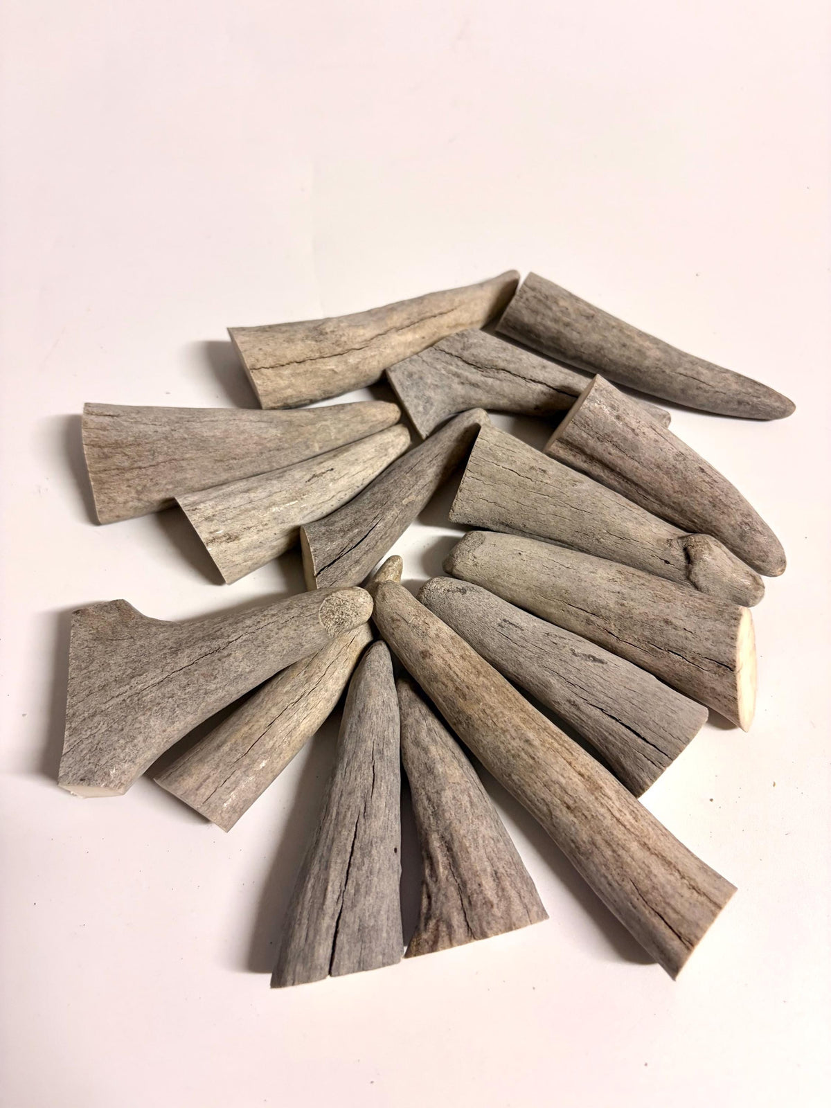 Antler Tips - Pack of 15 Tips / Tines for Crafting, Decor and More