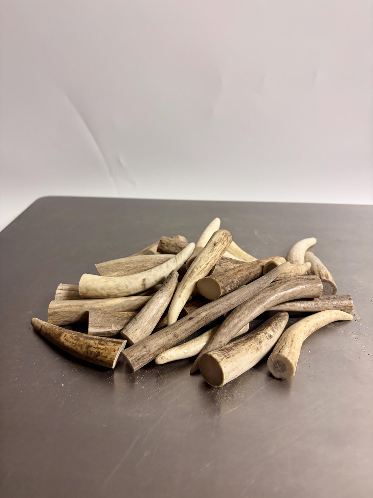 Deer and Elk Antler Tips - 5 Packs of 2.5”-4.5" Premium Fresh Tine Tips or "Dinosaur Teeth" for Crafting, Decor and More