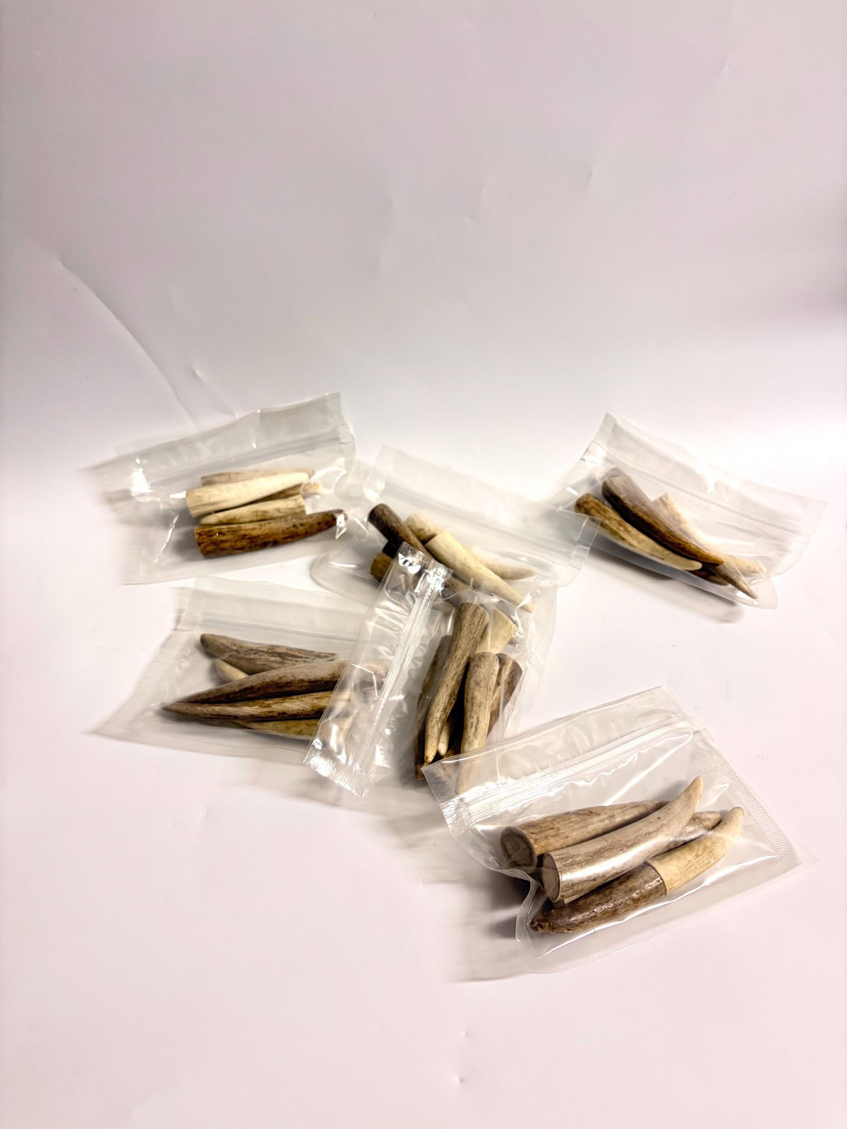 Deer and Elk Antler Tips - 5 Packs of 2.5”-4.5" Premium Fresh Tine Tips or "Dinosaur Teeth" for Crafting, Decor and More