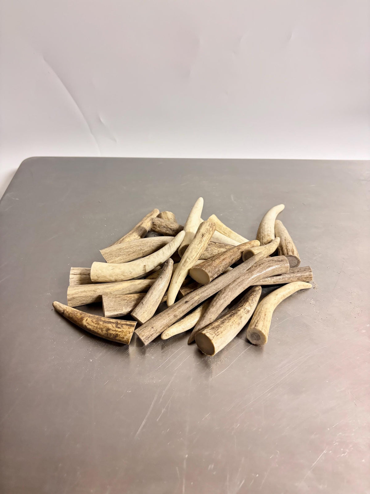 Deer and Elk Antler Tips - 5 Packs of 2.5”-4.5" Premium Fresh Tine Tips or "Dinosaur Teeth" for Crafting, Decor and More