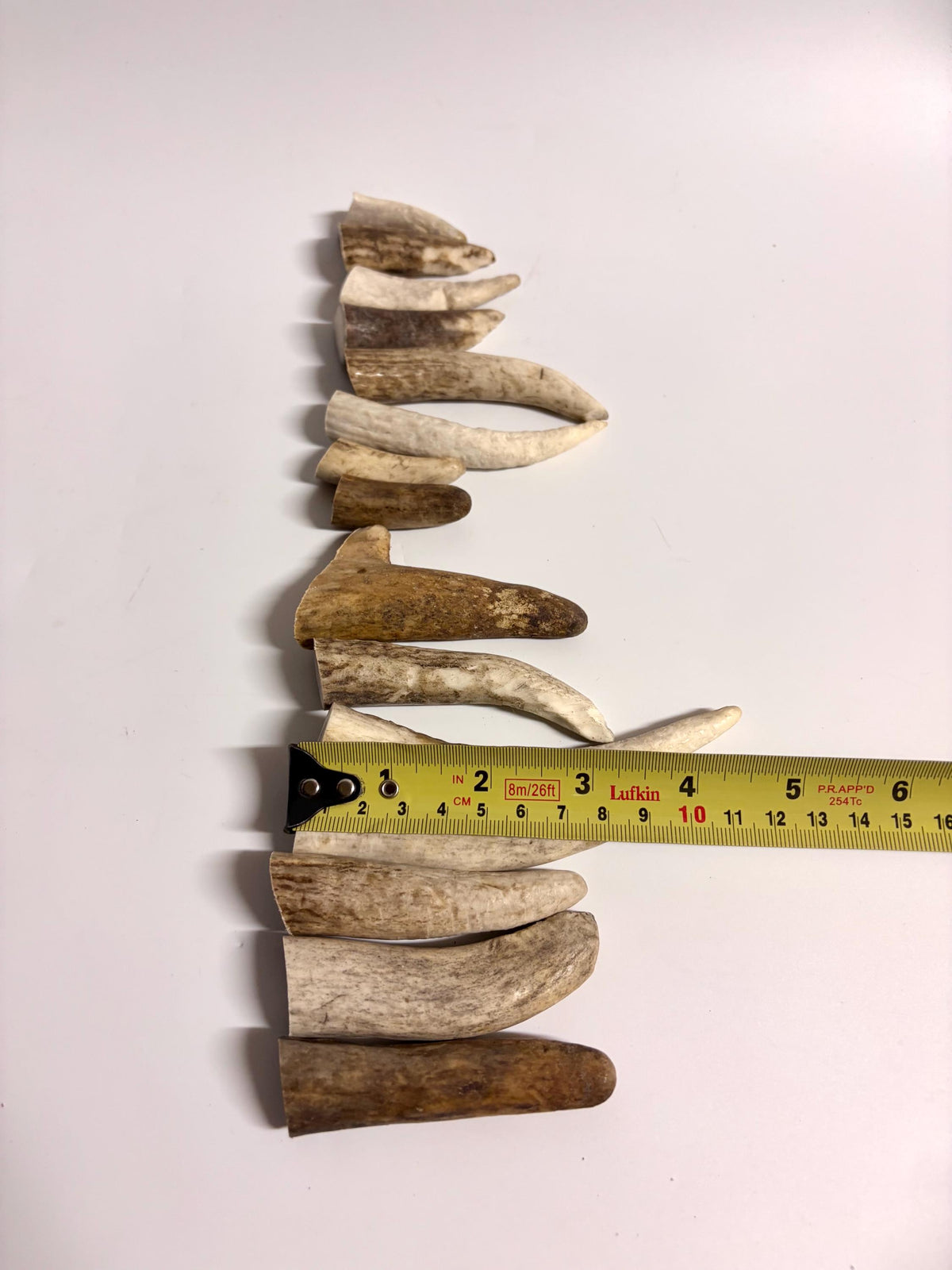 Small Antler Tips (15pcs) ~2”-4” Poorer Condition Tips for Crafting Decor and More