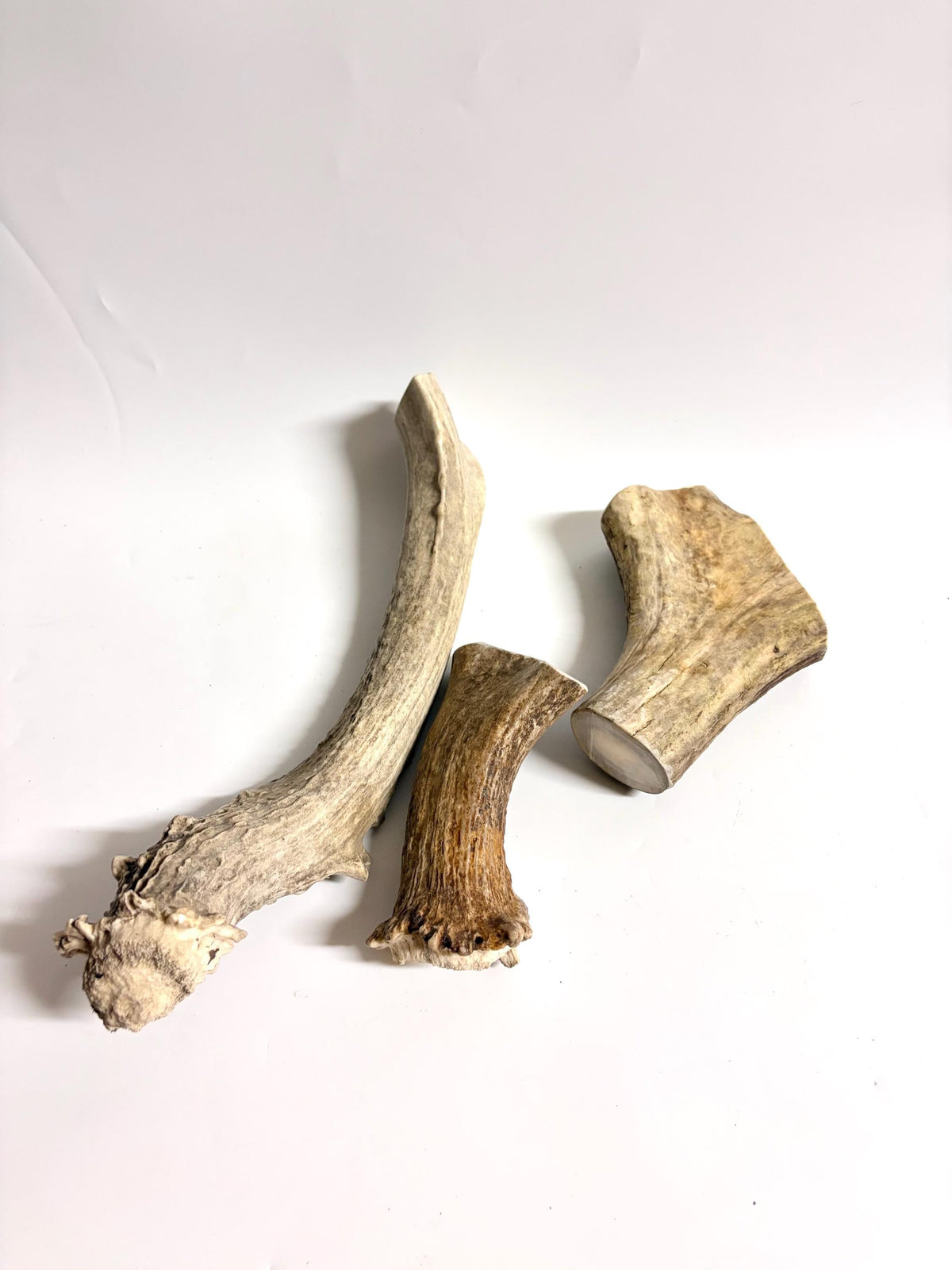 Super Chewer Antler Dog Chews Pack (3-pcs) of heavy antler bases.