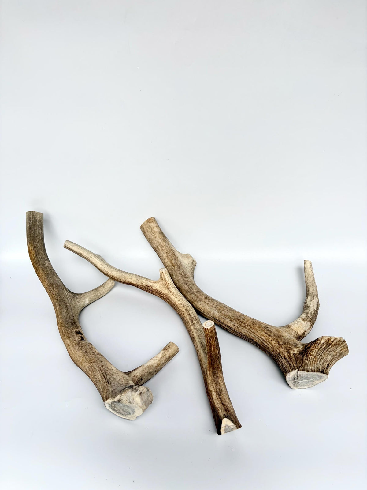XXL 3-Pack of Elk Antler Dog Chews (all 3-pcs) of entire medium sized elk antlers.