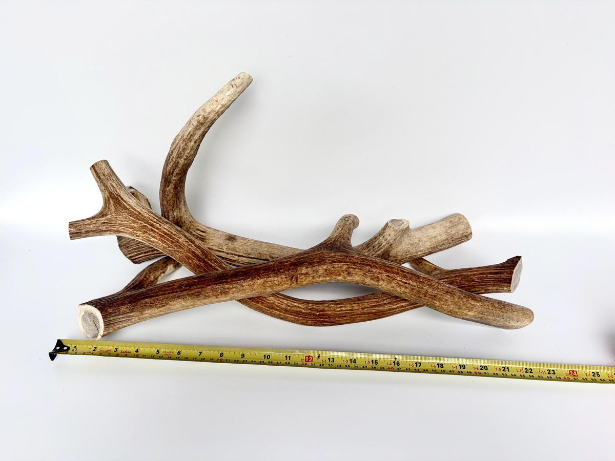 XXL 3-Pack of Elk Antler Dog Chews (all 3-pcs) of entire medium sized elk antlers.