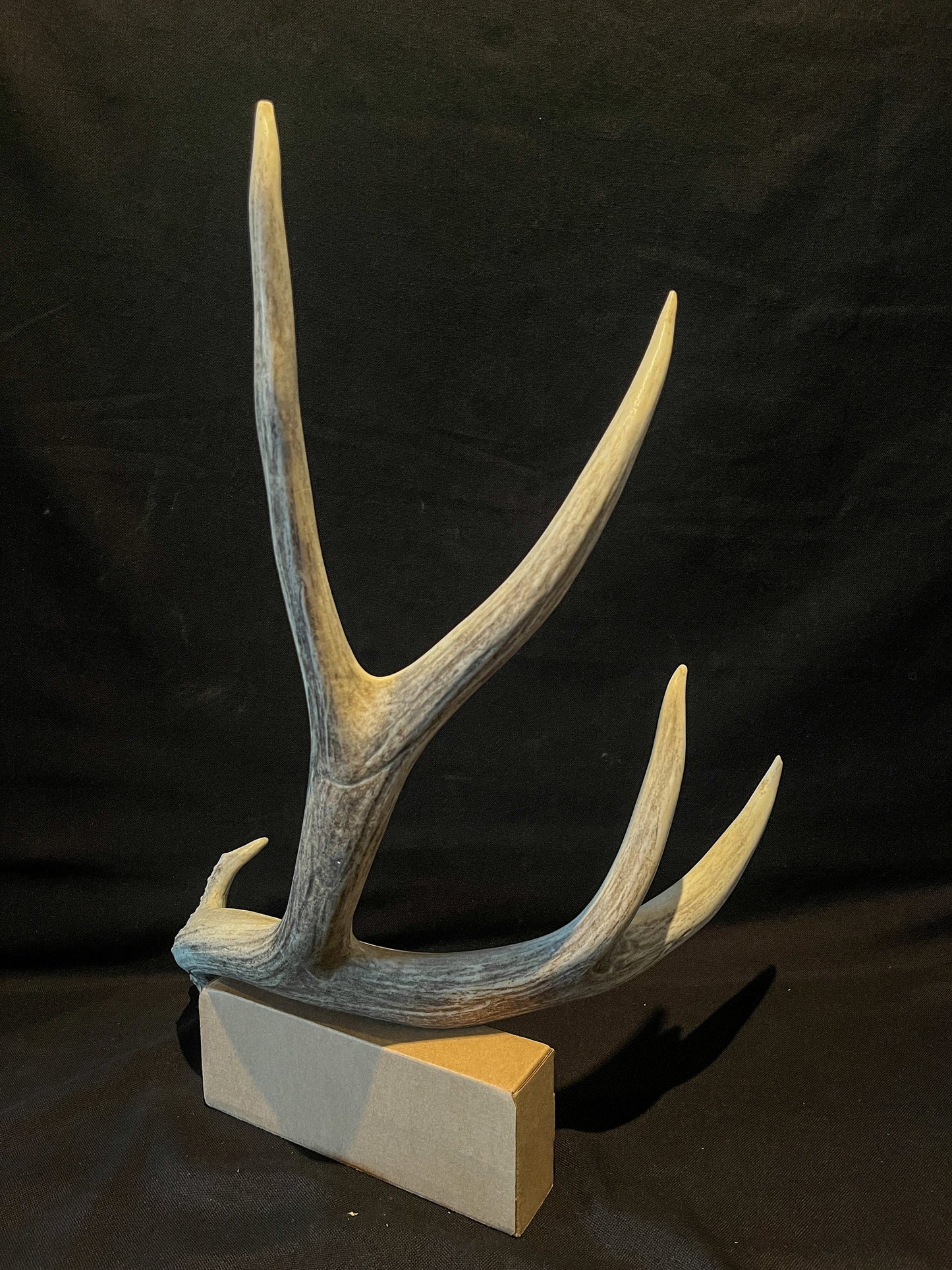 Huge Mule Deer Antler. Antler. Crafting, Deer horn, Decoration.