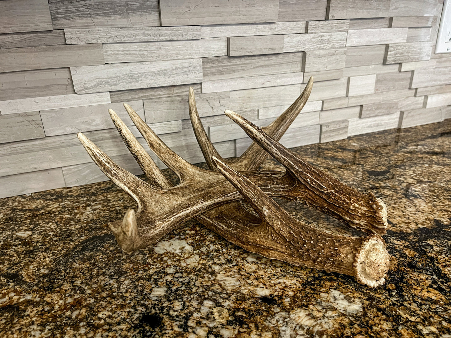 Deer Antlers - unbelievable mass! Whitetailed deer matching set. A big Wild Canadian Buck