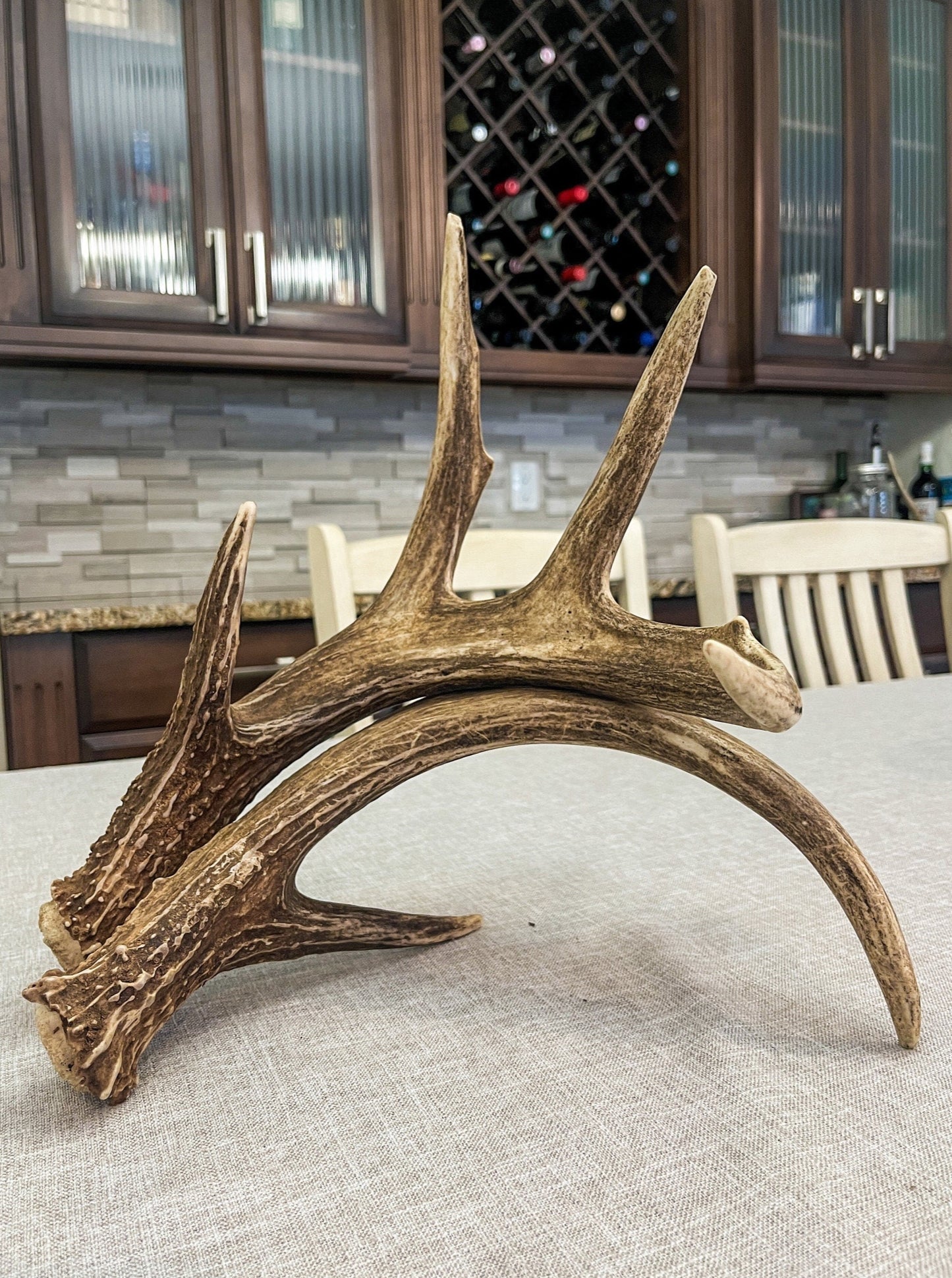 Deer Antlers - unbelievable mass! Whitetailed deer matching set. A big Wild Canadian Buck